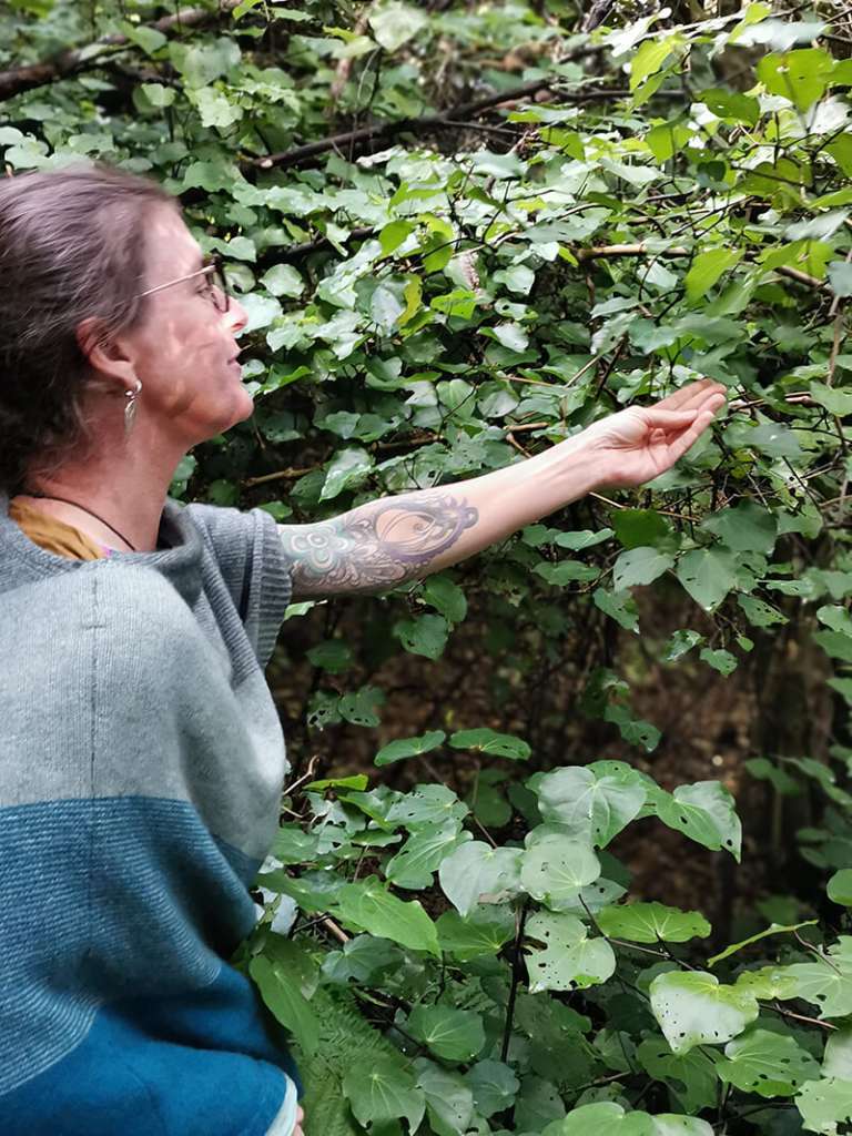 Kara Picking Kawakawa
