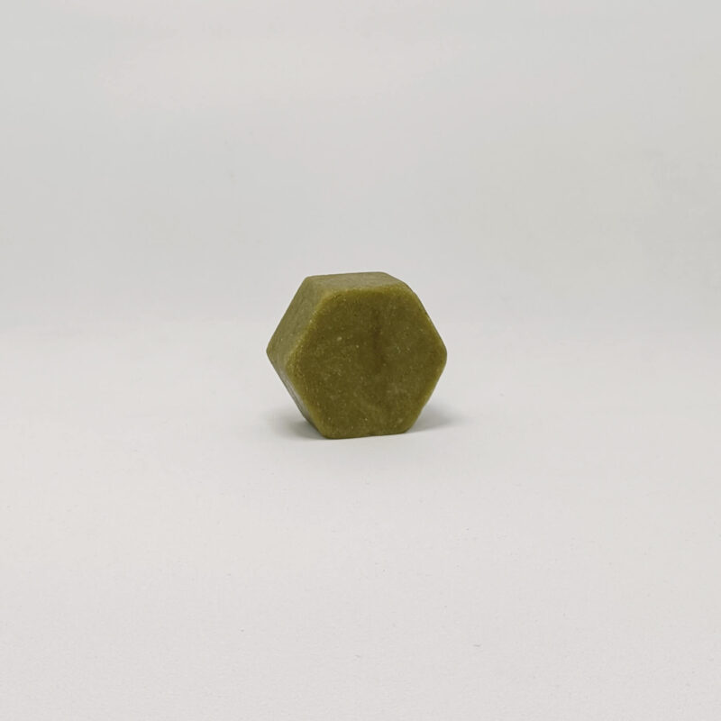 Mini Shampoo Bar Fern